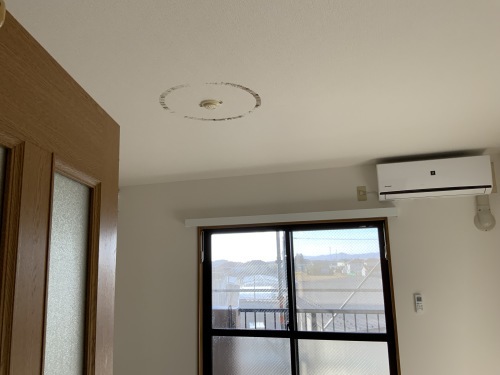 賃貸・色々な作業 いつもと違うかな_f0031037_18531325.jpg