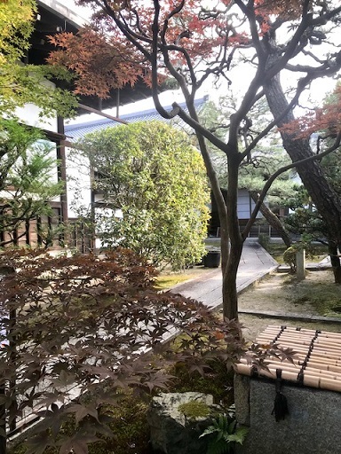 東福寺・退耕庵・作夢会月窯・東阿部流先生の紅葉の着物。_f0181251_20252713.jpg