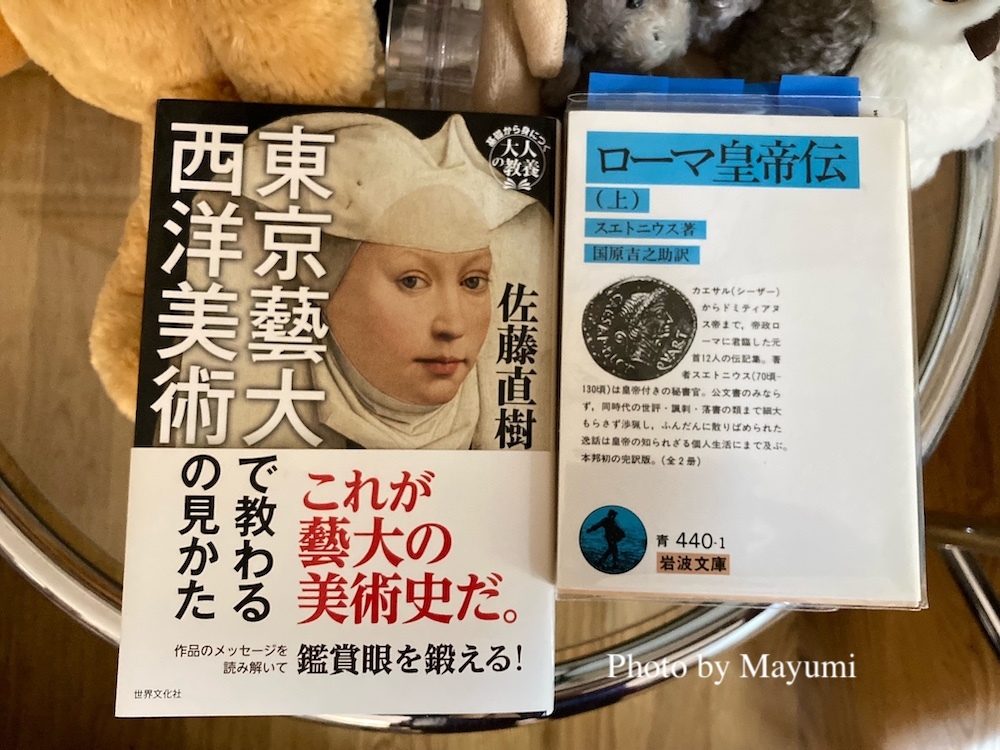 Amazon.co.jp: ローマ: 外国人芸術家たちの都 (西洋近代の都市と