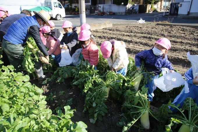 めだか組　給食参観_b0277979_16251496.jpg