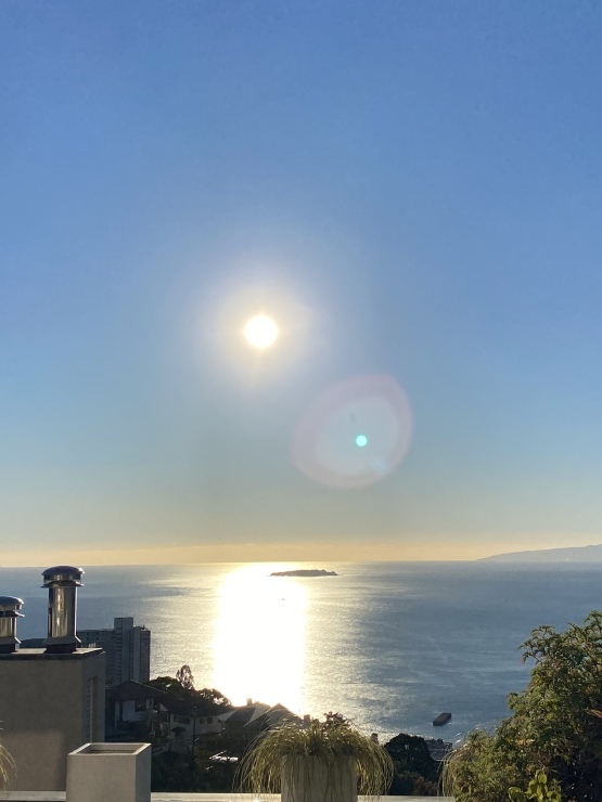 2021年12月2日　　床暖が好き_b0098584_17444099.jpeg