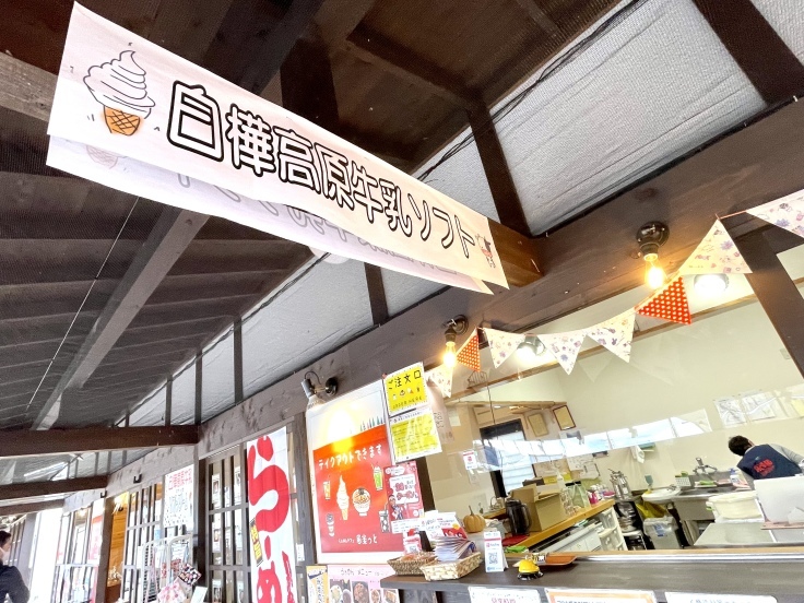 白樺高原牛乳ソフト（諏訪大社本宮前のお土産屋さん）★諏訪湖への旅 11/23_c0212604_06223017.jpeg