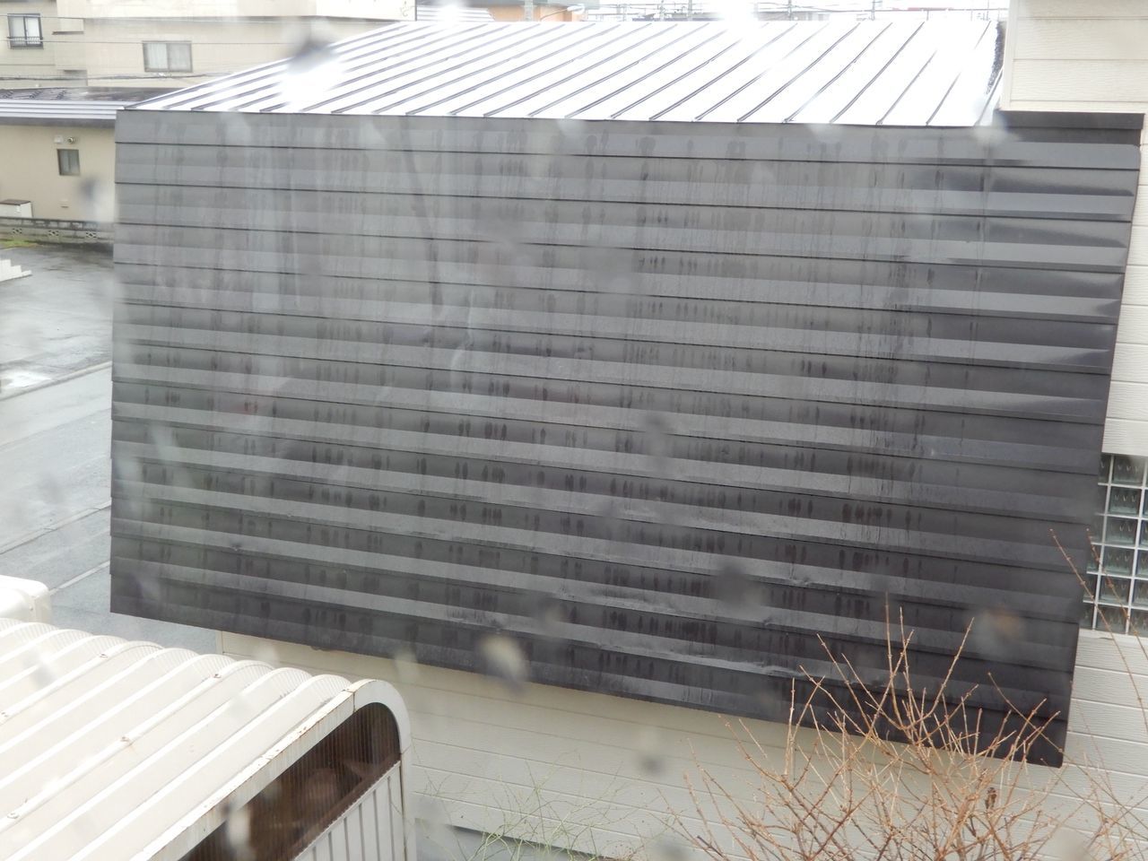 雪は消えました_c0025115_21091156.jpg