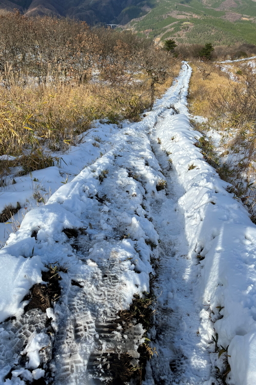 雪のトレッキング(*^^)v　三平山_a0385418_10405743.jpg