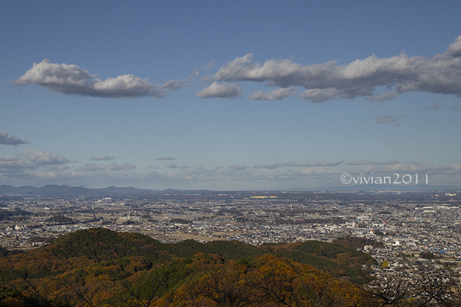 栃木市　太平山の紅葉2021_e0227942_22404259.jpg