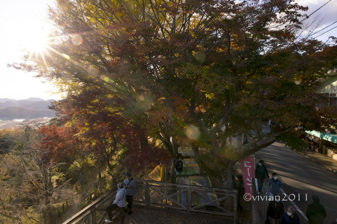 栃木市　太平山の紅葉2021_e0227942_22452590.jpg