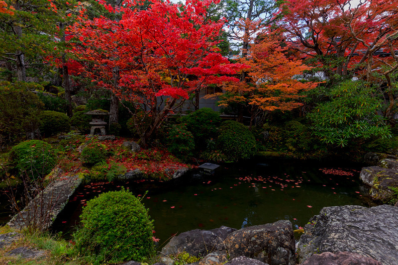 2021紅葉輝く高野山　金剛峯寺紅葉めぐり（後編）_f0155048_12090194.jpg