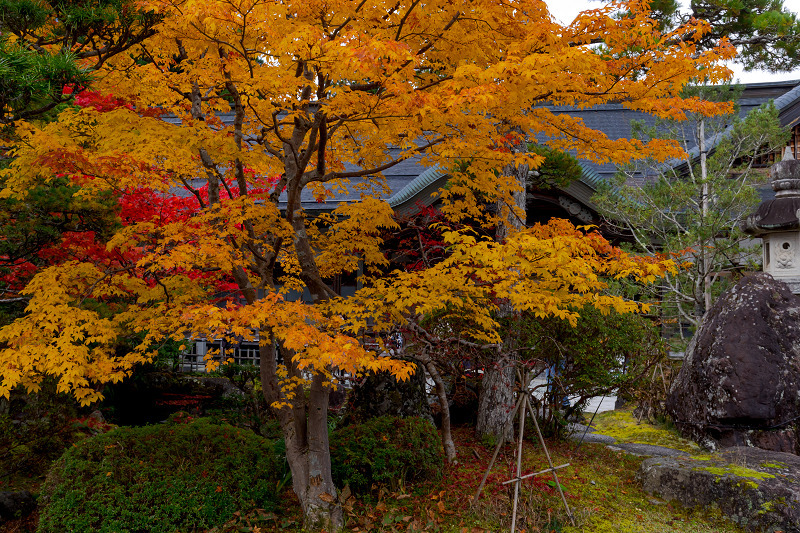 2021紅葉輝く高野山　金剛峯寺紅葉めぐり（後編）_f0155048_12091359.jpg