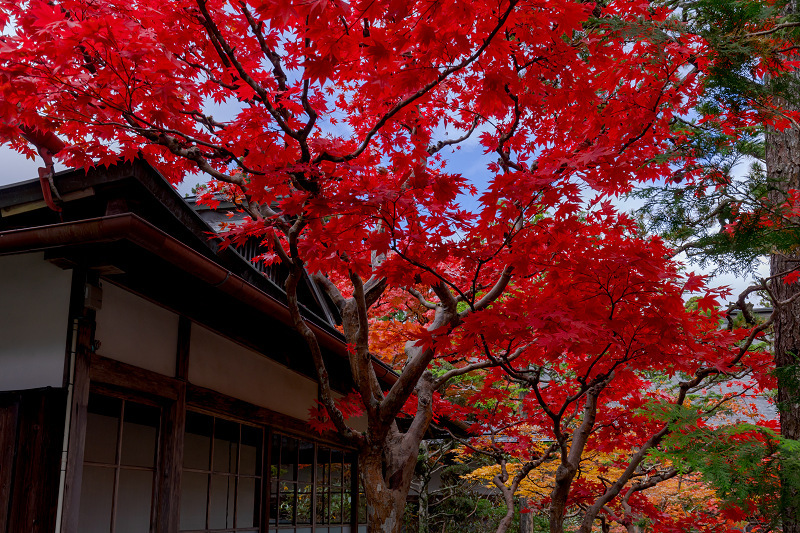 2021紅葉輝く高野山　金剛峯寺紅葉めぐり（後編）_f0155048_12091614.jpg