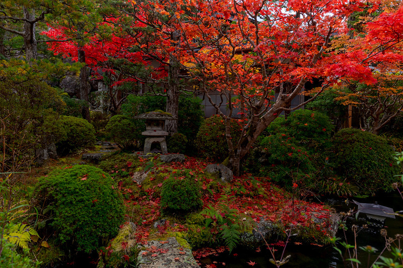 2021紅葉輝く高野山　金剛峯寺紅葉めぐり（後編）_f0155048_12092101.jpg