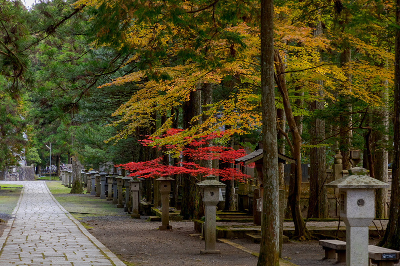 2021紅葉輝く高野山　金剛峯寺紅葉めぐり（後編）_f0155048_12093099.jpg