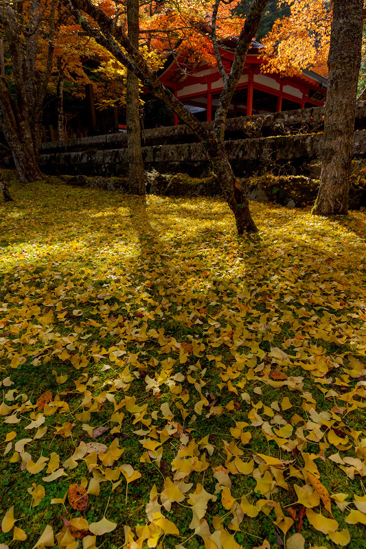2021紅葉輝く高野山　金剛峯寺紅葉めぐり（後編）_f0155048_12094646.jpg