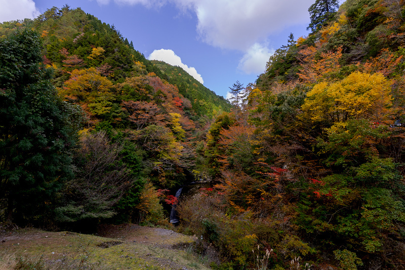 2021紅葉輝く高野山　金剛峯寺紅葉めぐり（後編）_f0155048_12101807.jpg