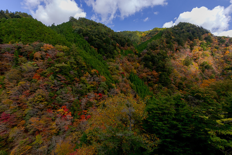 2021紅葉輝く高野山　金剛峯寺紅葉めぐり（後編）_f0155048_12110151.jpg