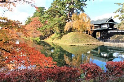 「弘前城菊と紅葉まつり2021」振り返り〼_d0131668_15250712.jpg