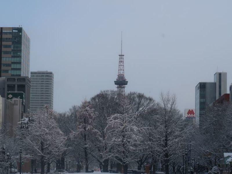 札幌の風景　2021年12月３日　雪が降りました。_f0362073_07184179.jpg