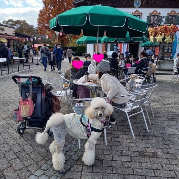 リトルワールド食べ歩き 後編 うちにかえろう