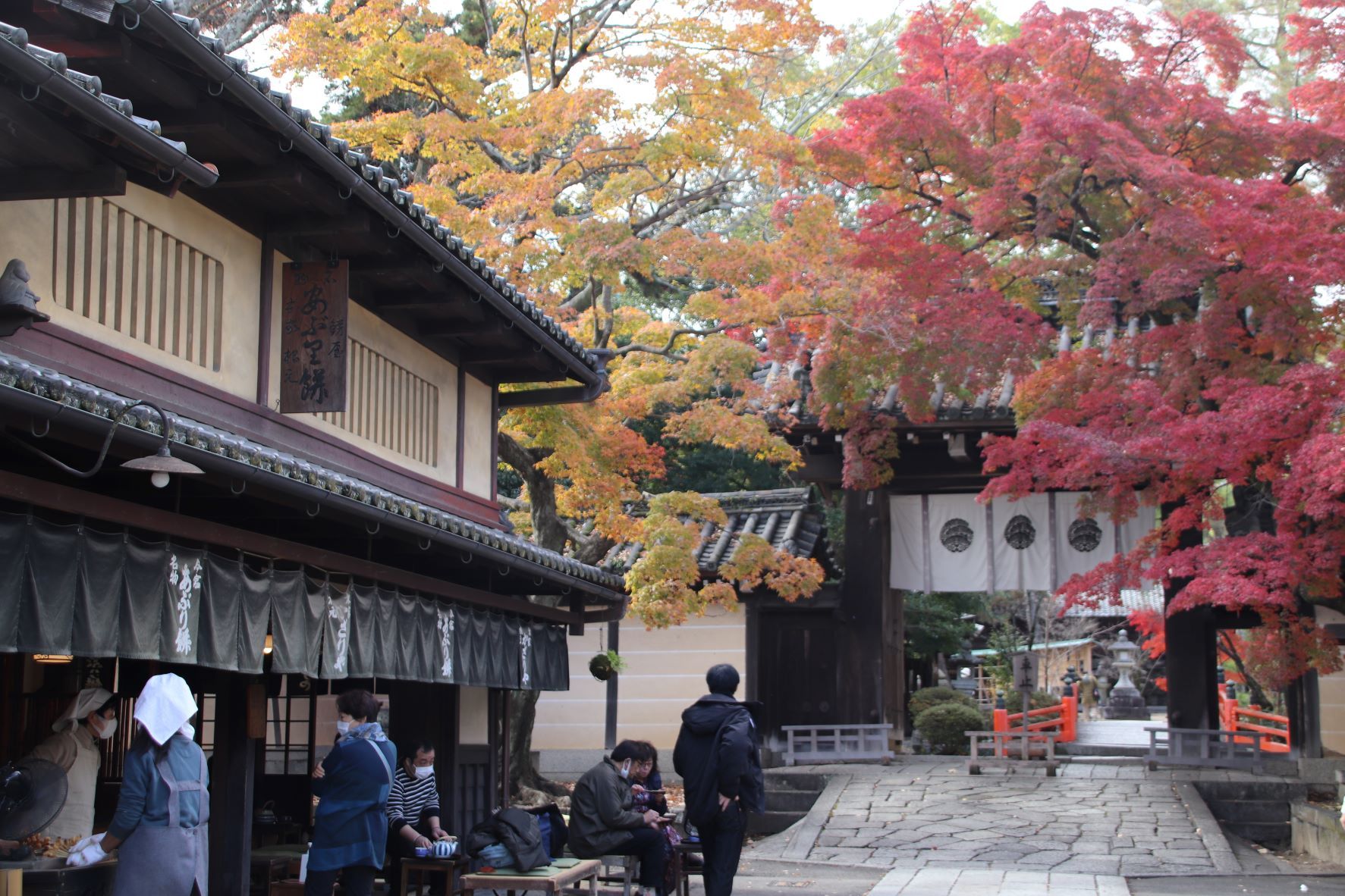 今宮神社の紅葉と門前あぶりもち_e0048413_19145795.jpg
