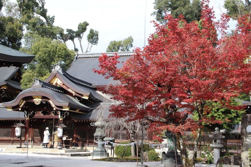 今宮神社の紅葉と門前あぶりもち_e0048413_19151747.jpg