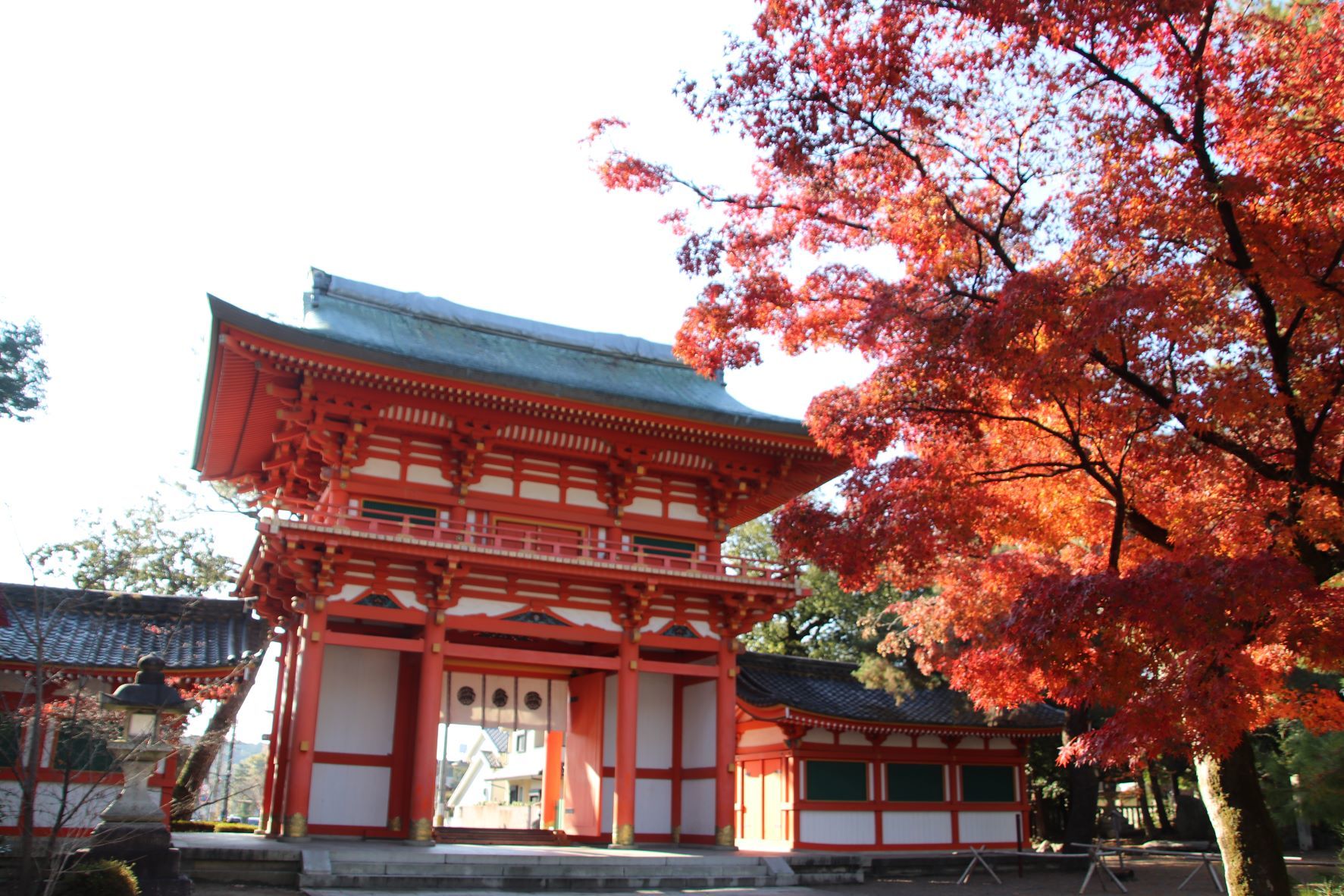 今宮神社の紅葉と門前あぶりもち_e0048413_19152852.jpg