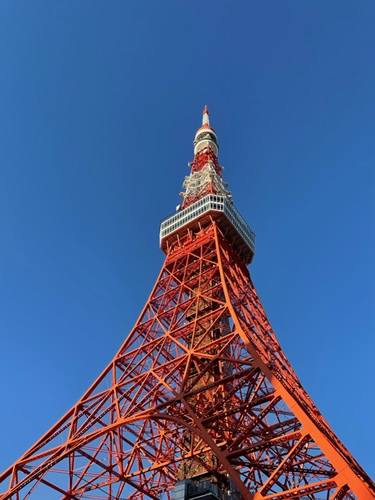 The Tokyo Tower_d0248537_10241512.jpg
