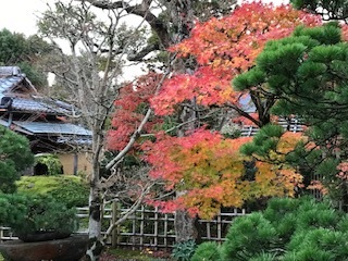 初々しい着物姿が素敵です_f0101949_14032745.jpg