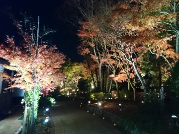 池田山公園ライトアップ_a0061057_20553073.jpg