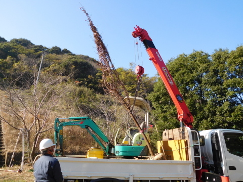 記念樹の初太郎桜復活、大利根土地改良区に感謝12・4_c0014967_18275116.jpg