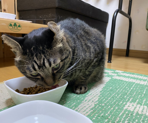 バズとはる ②_a0216583_23555949.jpeg