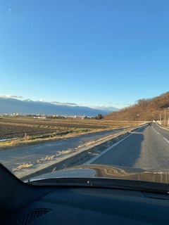 主人の実家に見学者がきました_e0233190_12361756.jpeg