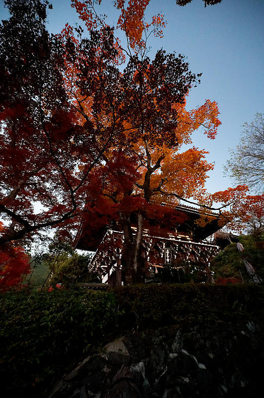 2021年京都の紅葉@洛西 善峯寺・其の一_f0032011_15213206.jpg