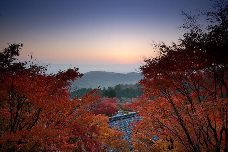 2021年京都の紅葉@洛西 善峯寺・其の一_f0032011_15213308.jpg