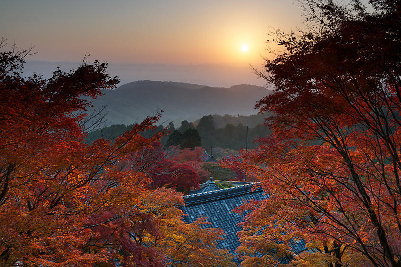 2021年京都の紅葉@洛西 善峯寺・其の一_f0032011_15213311.jpg