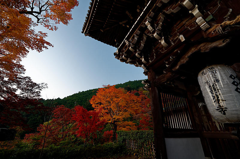 2021年京都の紅葉@洛西 善峯寺・其の一_f0032011_15213353.jpg