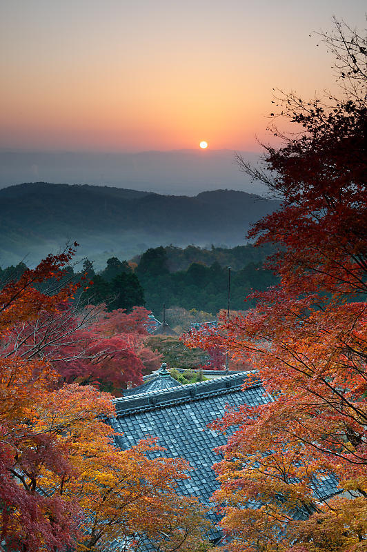 2021年京都の紅葉@洛西 善峯寺・其の一_f0032011_15213364.jpg