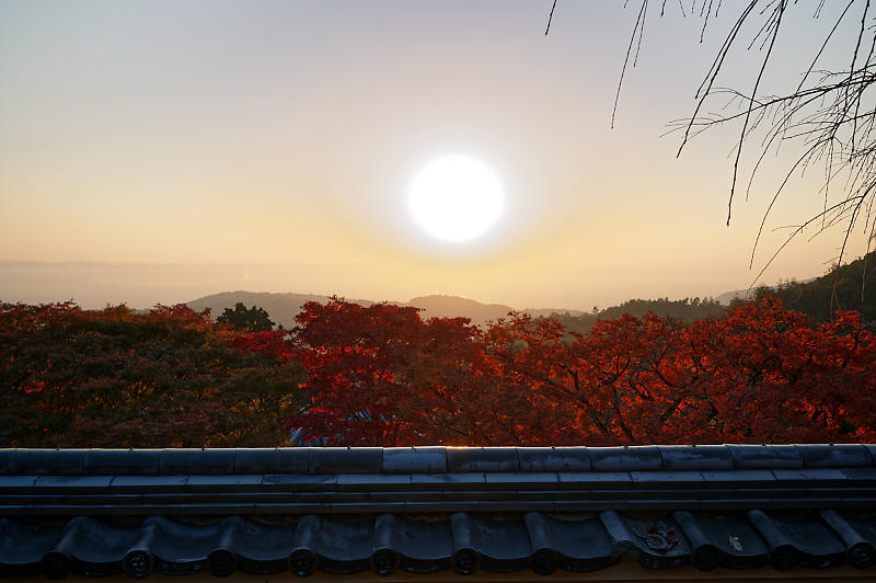 2021年京都の紅葉@洛西 善峯寺・其の一_f0032011_15224410.jpg