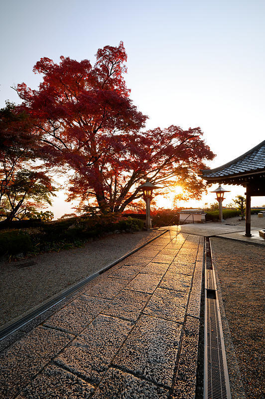 2021年京都の紅葉@洛西 善峯寺・其の一_f0032011_15224450.jpg