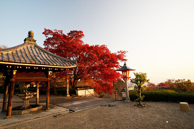 2021年京都の紅葉@洛西 善峯寺・其の一_f0032011_15224462.jpg