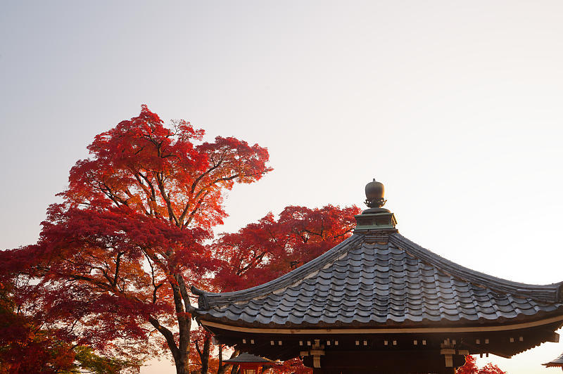 2021年京都の紅葉@洛西 善峯寺・其の一_f0032011_15224474.jpg