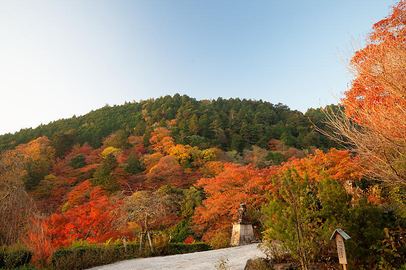 2021年京都の紅葉@洛西 善峯寺・其の一_f0032011_15224478.jpg