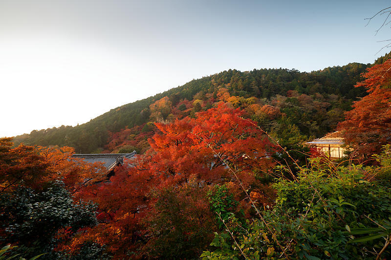 2021年京都の紅葉@洛西 善峯寺・其の一_f0032011_15224498.jpg