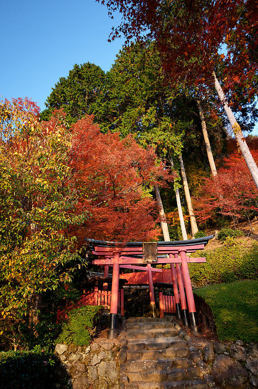 2021年京都の紅葉@洛西 善峯寺・其の一_f0032011_15224599.jpg