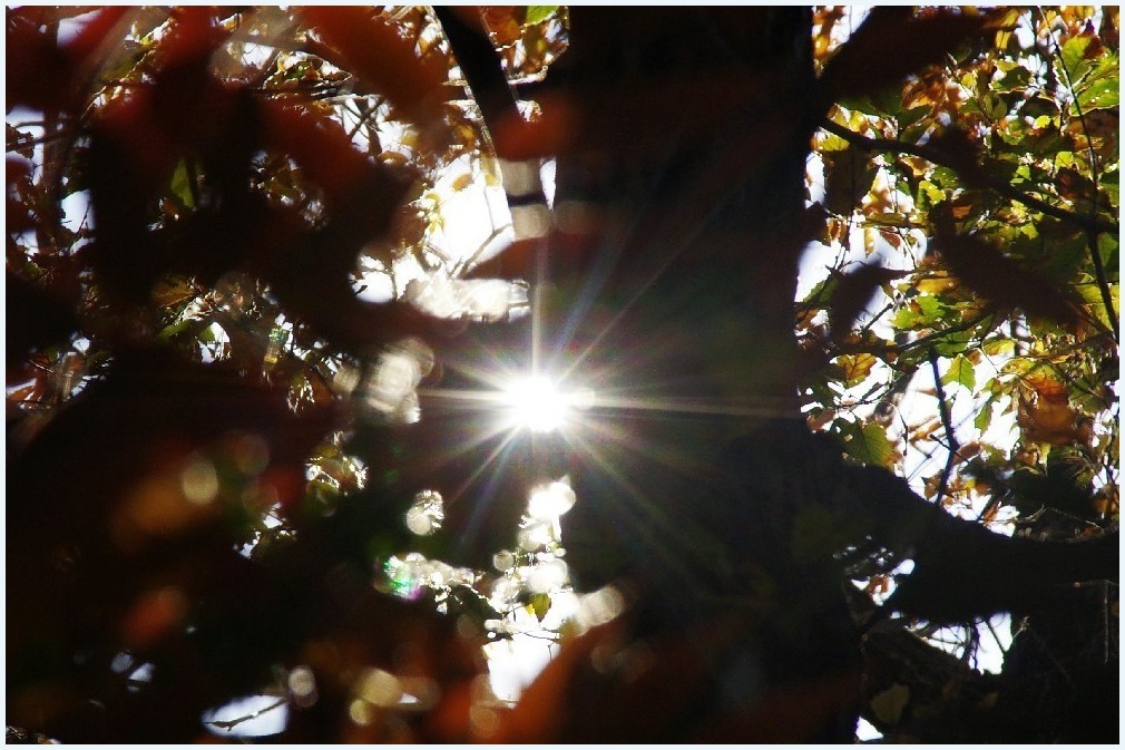 紅葉時間_c0352813_11131350.jpg