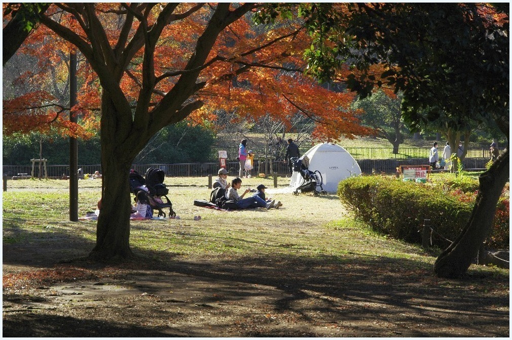 紅葉時間_c0352813_11152163.jpg