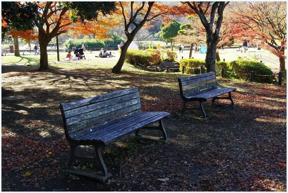 紅葉時間_c0352813_11154236.jpg