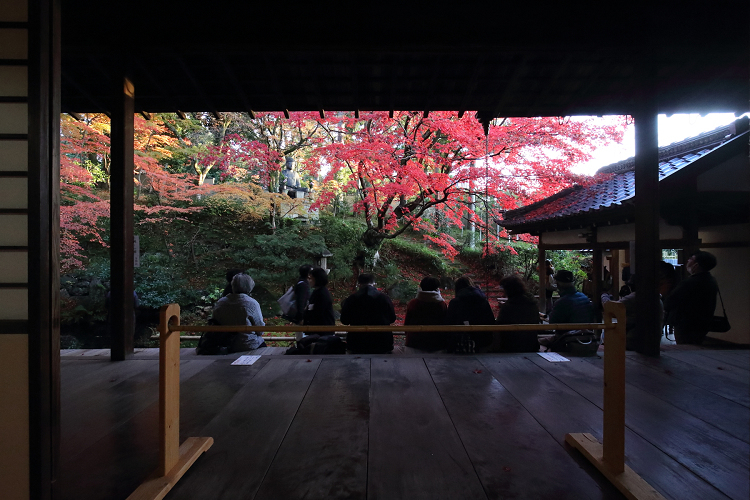 紅葉の京都21 金戒光明寺山門と栄摂院 夕暮れの貸切特別拝観 後編 memory of kyotolife 紅葉の京都21 金戒光明寺山門と栄摂院 夕暮れの貸切特別拝観 後編 memory of kyotolife