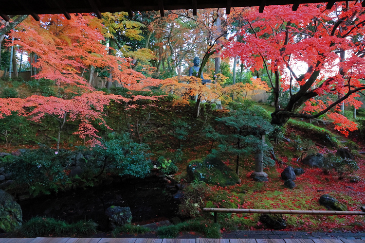紅葉の京都21 金戒光明寺山門と栄摂院 夕暮れの貸切特別拝観 後編 memory of kyotolife 紅葉の京都21 金戒光明寺山門と栄摂院 夕暮れの貸切特別拝観 後編 memory of kyotolife