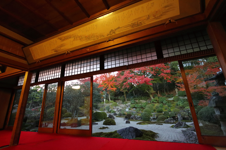 紅葉の京都21 金戒光明寺山門と栄摂院 夕暮れの貸切特別拝観 後編 memory of kyotolife 紅葉の京都21 金戒光明寺山門と栄摂院 夕暮れの貸切特別拝観 後編 memory of kyotolife
