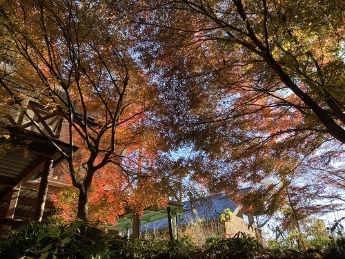 師走~!_c0331145_20401189.jpg