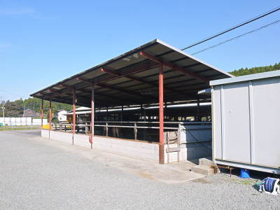 熊本県産A5ランク黒毛和牛100%のハンバーグステーキ!令和3年12月出荷は12月15日(水)残りわずかです_a0254656_17414658.jpg